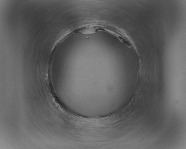 X0000051240010200507011638