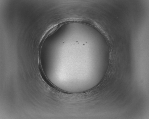 X0000051240011200507011638