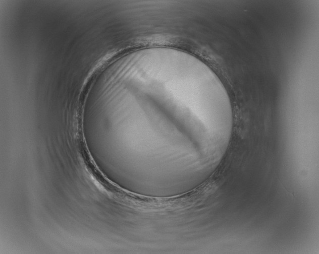 X0000051240012200507011638