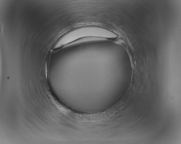 X0000051240013200507011638