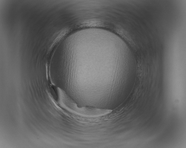 X0000051240014200507011638