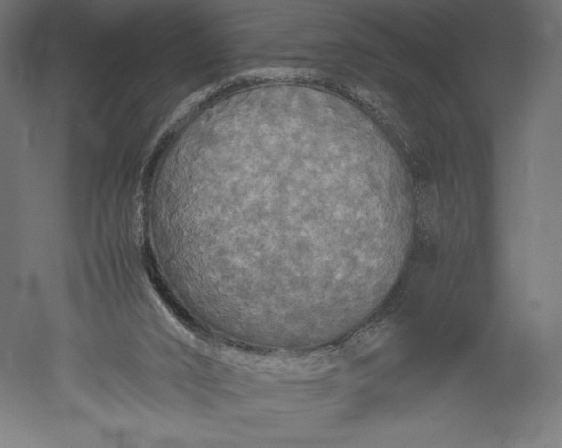 X0000051240016200507011638