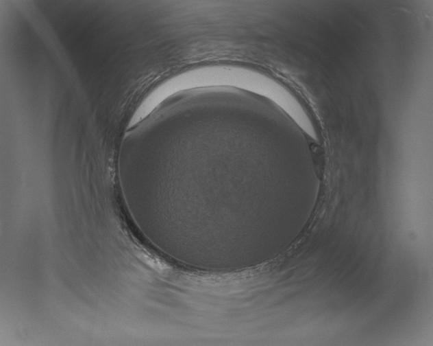 X0000051240017200507011638