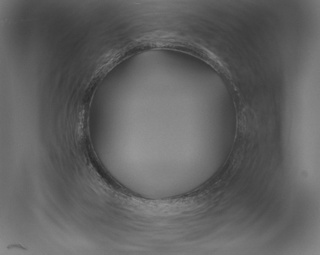 X0000051240018200507011638