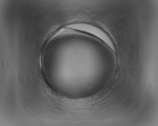 X0000051240019200507011638