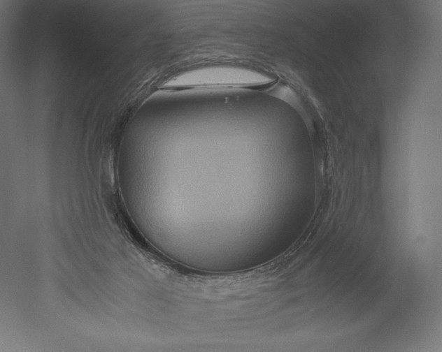 X0000051240021200507011638