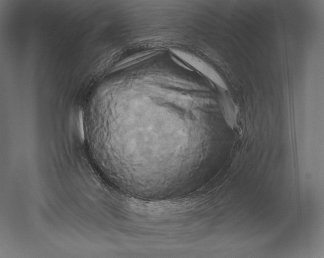 X0000051240022200507011638