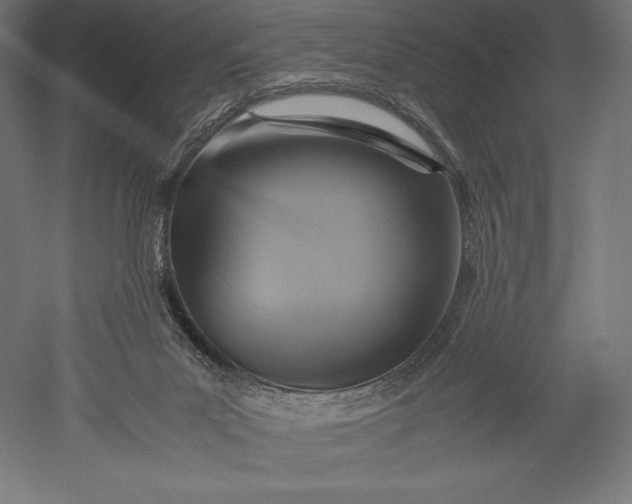 X0000051240023200507011638