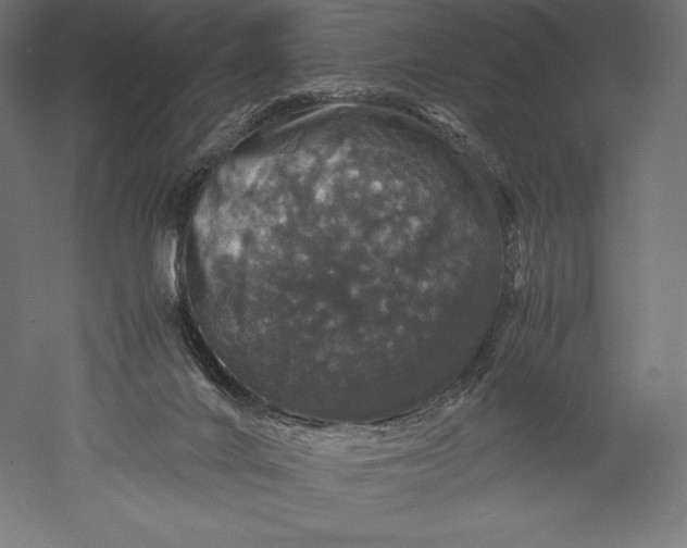 X0000051240024200507011638