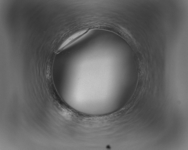 X0000051240025200507011638