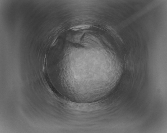 X0000051240026200507011638