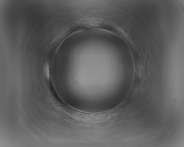 X0000051240027200507011638