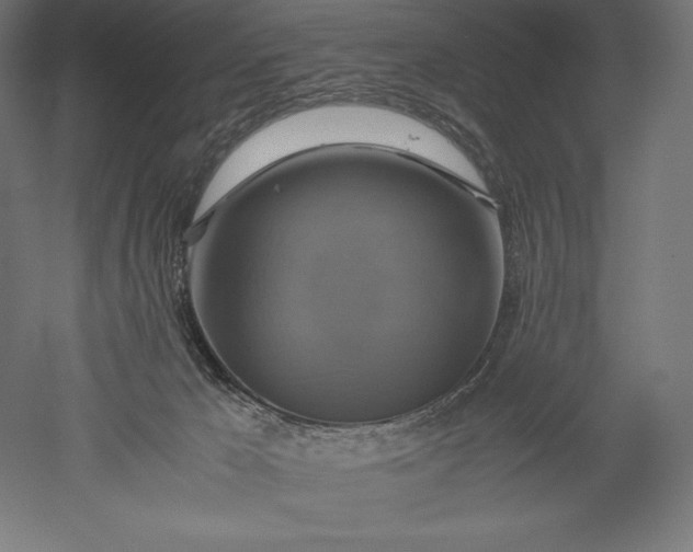 X0000051240029200507011638