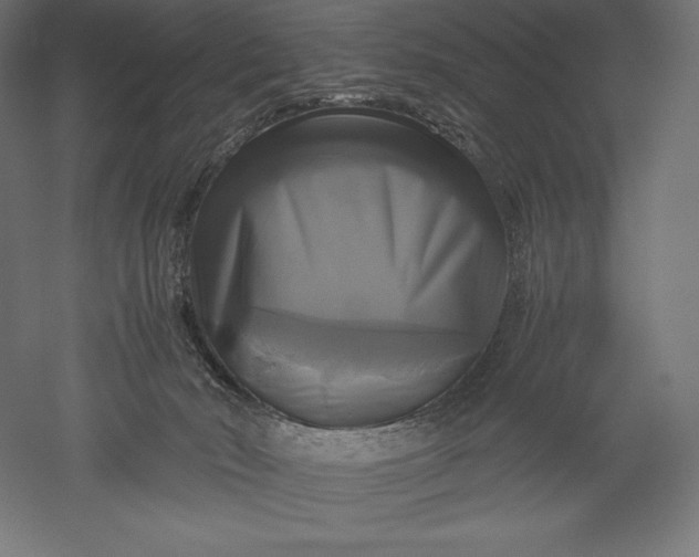 X0000051240030200507011638