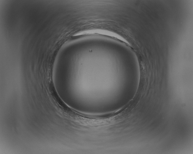 X0000051240031200507011638