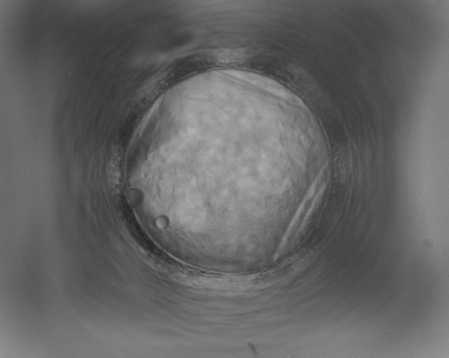 X0000051240032200507011638