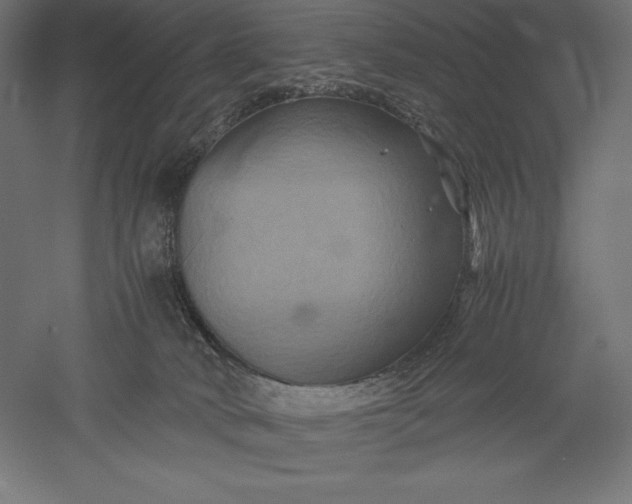 X0000051240034200507011638