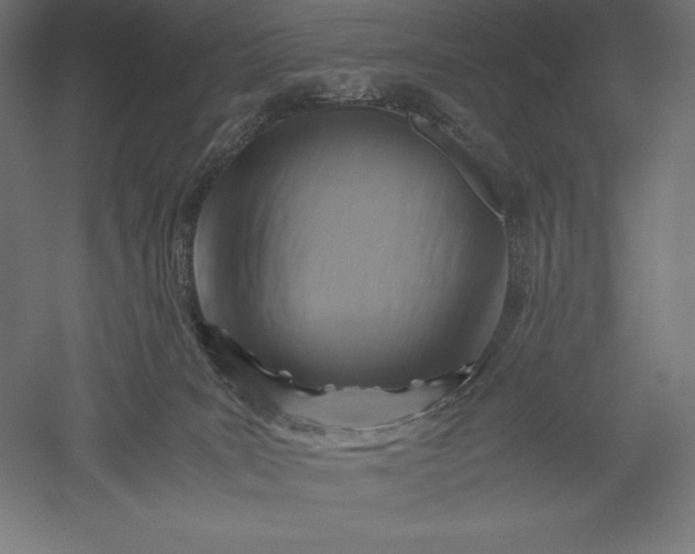 X0000051240035200507011638