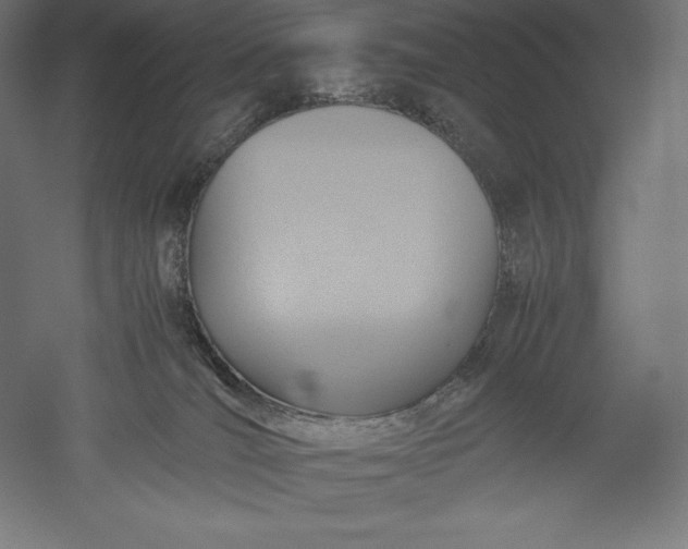 X0000051240036200507011638