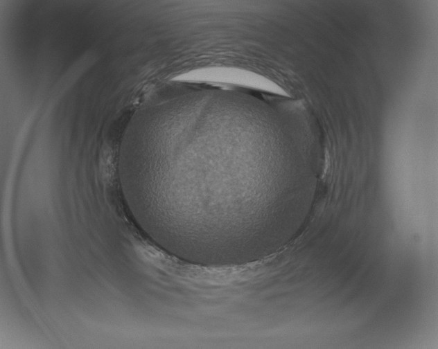 X0000051240037200507011638