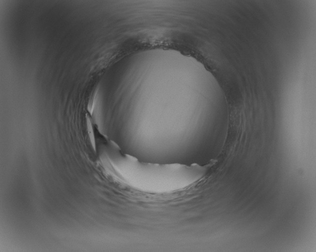 X0000051240039200507011637