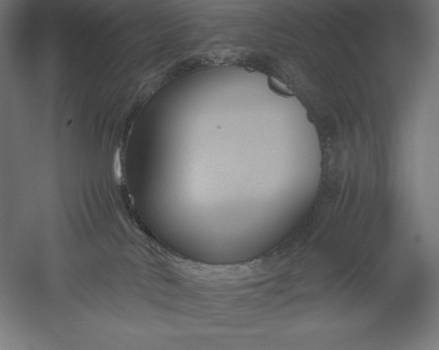 X0000051240042200507011637