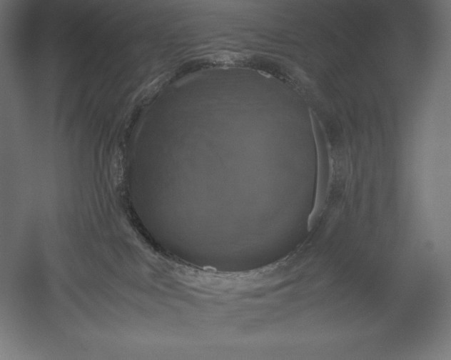 X0000051240043200507011637