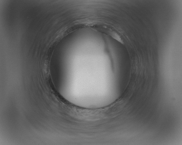 X0000051240044200507011637