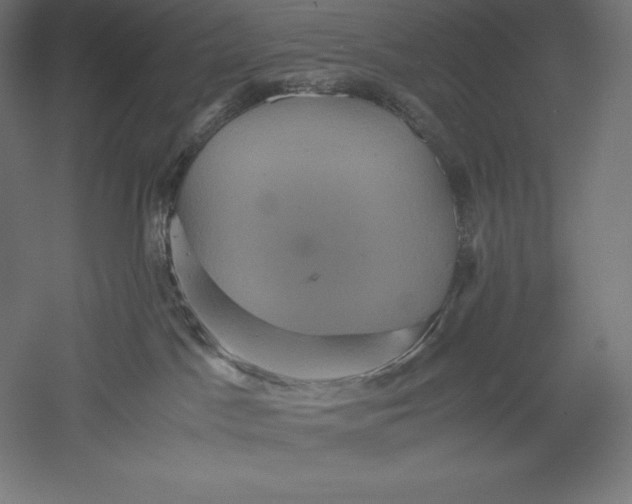 X0000051240045200507011637