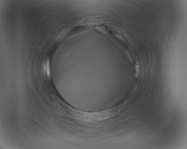 X0000051240046200507011637