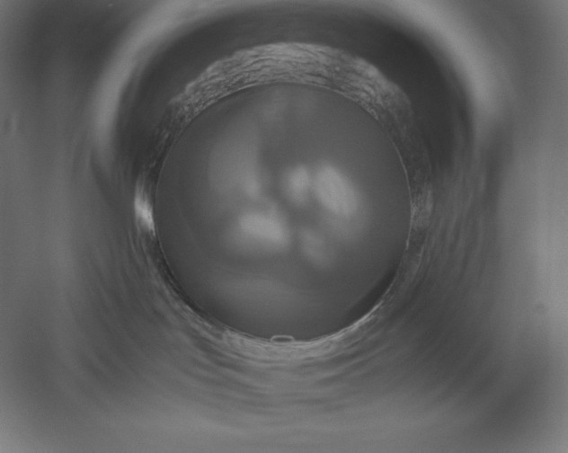 X0000051240047200507011637