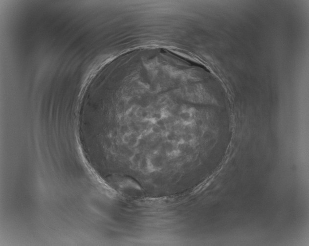 X0000051240049200507011637