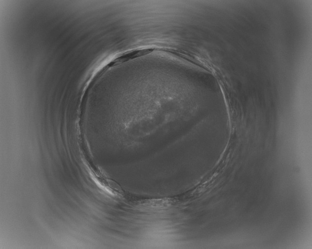 X0000051240050200507011637