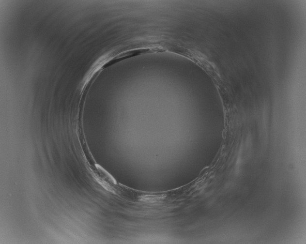 X0000051240051200507011637