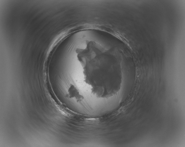 X0000051240053200507011637