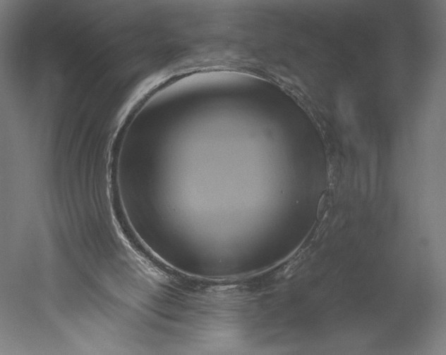 X0000051240054200507011637