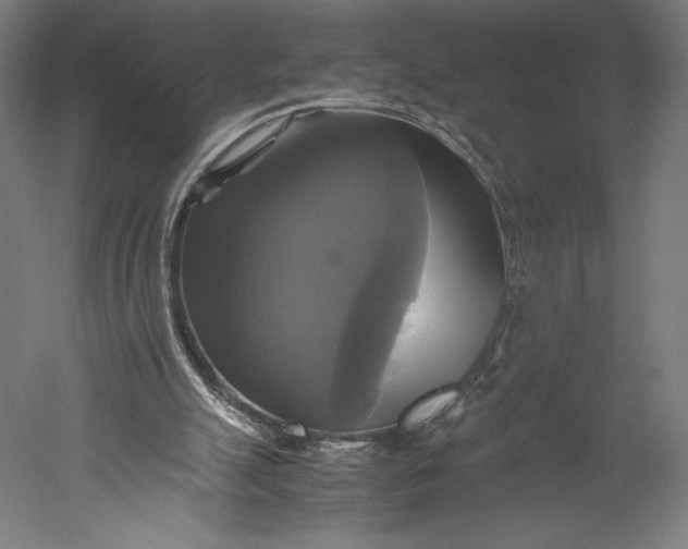 X0000051240055200507011637