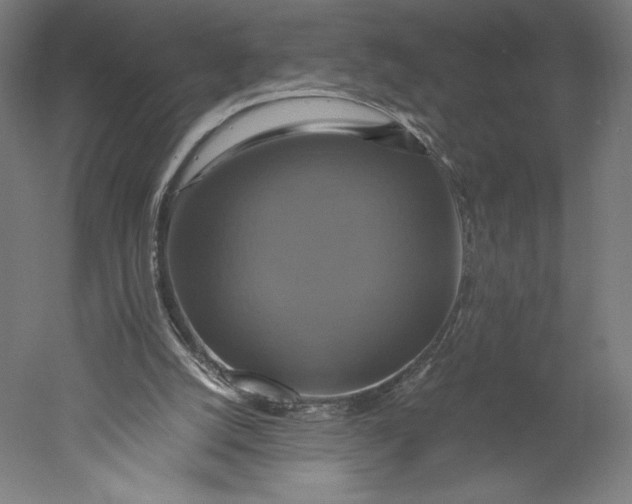 X0000051240056200507011637