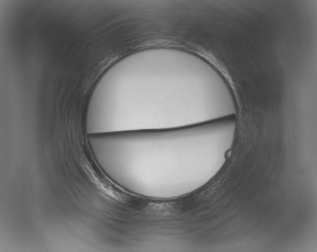 X0000051240057200507011637