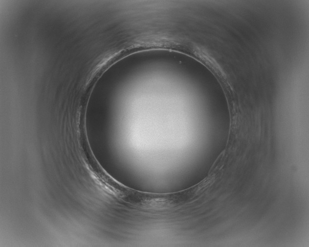 X0000051240058200507011637