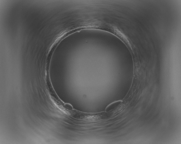 X0000051240059200507011637