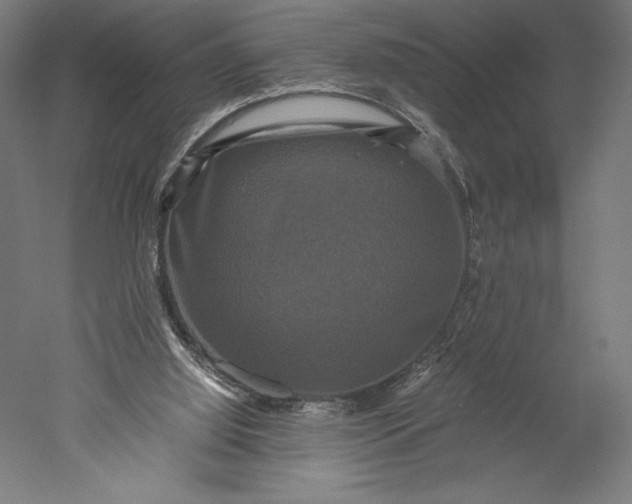 X0000051240060200507011637