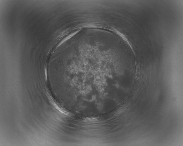 X0000051240061200507011637