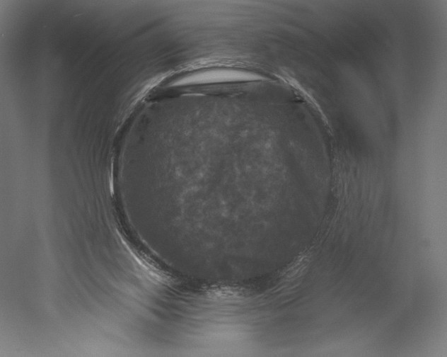 X0000051240062200507011637