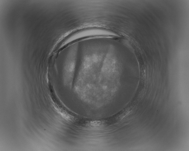 X0000051240064200507011637