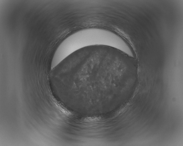 X0000051240065200507011637