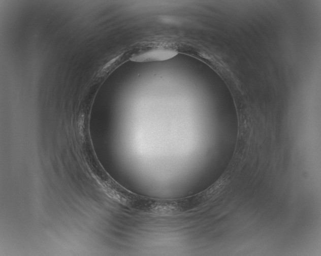 X0000051240066200507011637