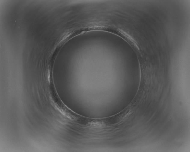 X0000051240067200507011637