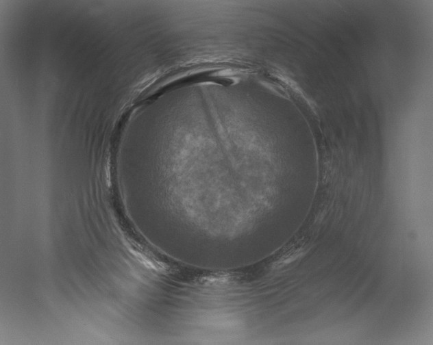 X0000051240068200507011637