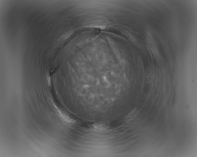 X0000051240070200507011637